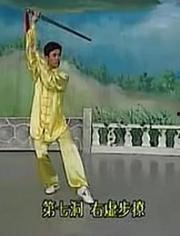 太极武当剑视频,太极精髓与剑道真谛的完美融合