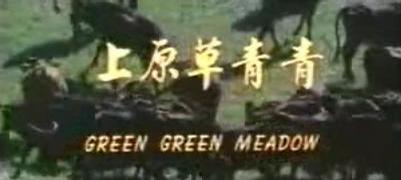 草原青青在线视频,一场视觉与心灵的草原盛宴