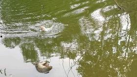 钓鱼视频2019,精彩瞬间，不容错过