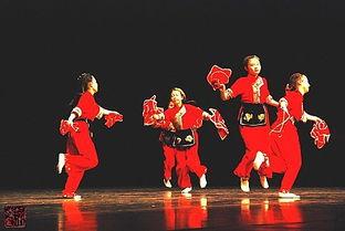 欢天喜地舞蹈视频大全,舞蹈视频大全精彩回顾